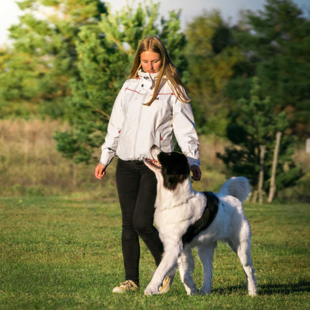 Watch Teach Your Dog the Competitive "Flip" and "By" Finishes