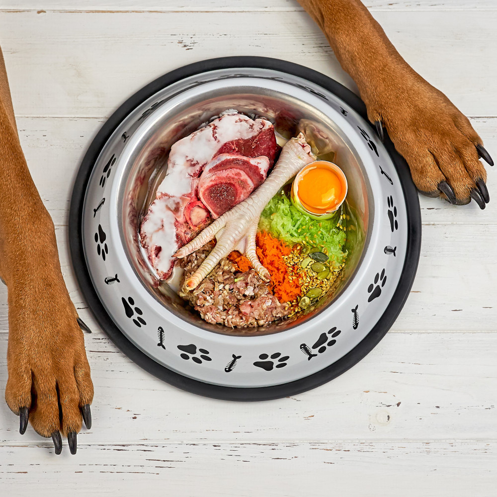 Watch How to Make A Raw Dog Food Meal in Under 3 Minutes