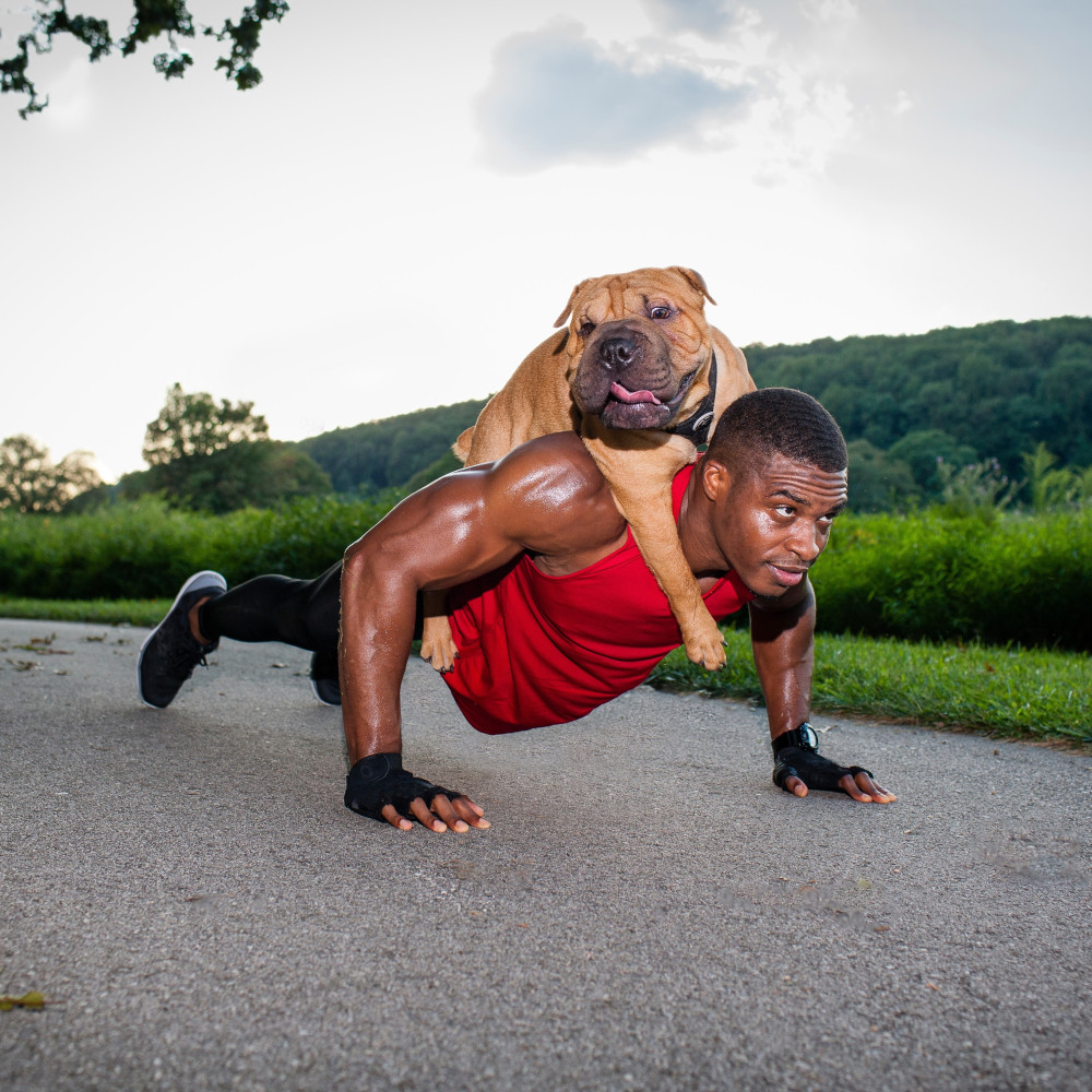 Watch How to Teach Your Dog the Piggyback Trick