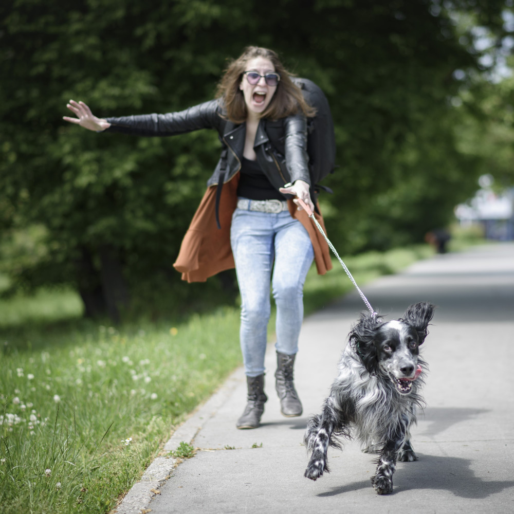 Watch Stop Your Dog from Lunging at Other Dogs While on Leash