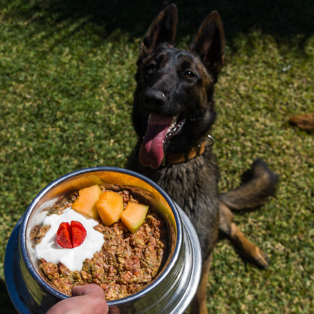 Watch What to Expect When Switching Your Pet to a Raw Diet