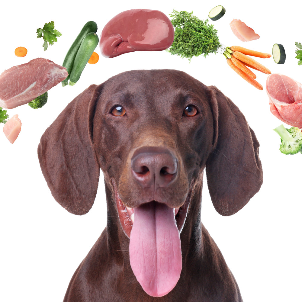 Watch How to Balance Your Dog's Raw Diet