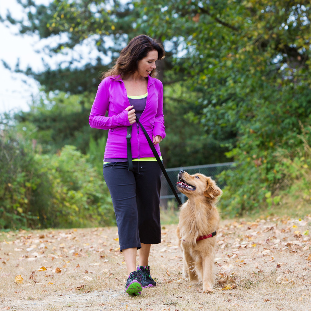 Watch Advanced Obedience Techniques: Using a Heeling Stick