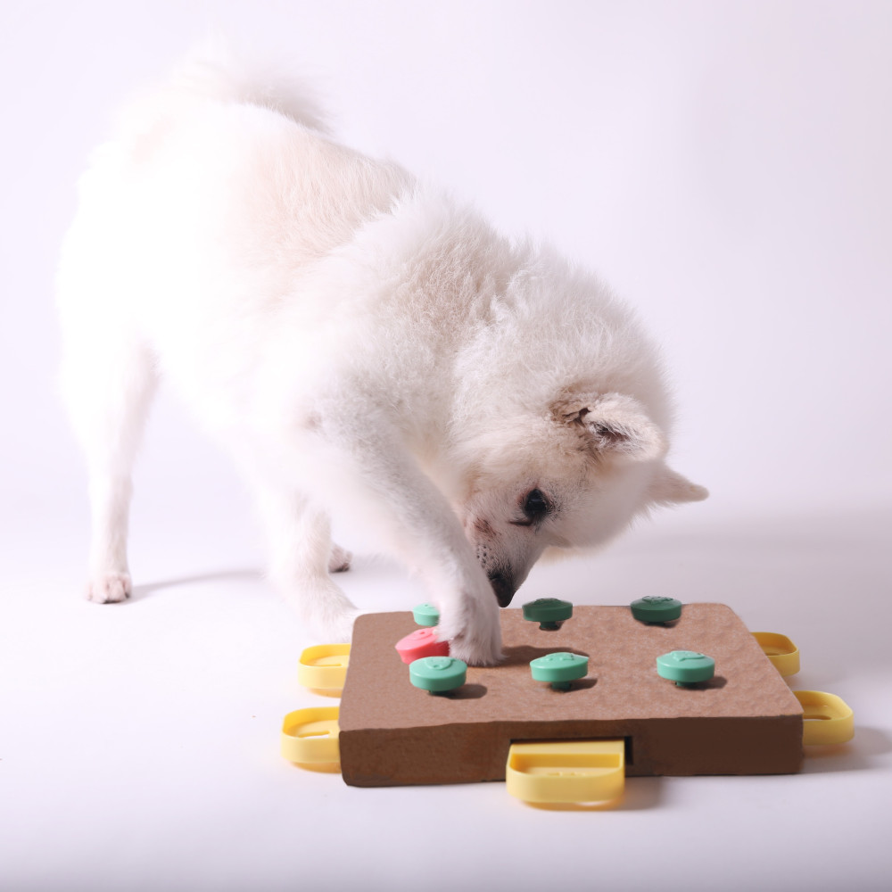 Watch Brain Games for Dogs - DIY Puzzle Toys