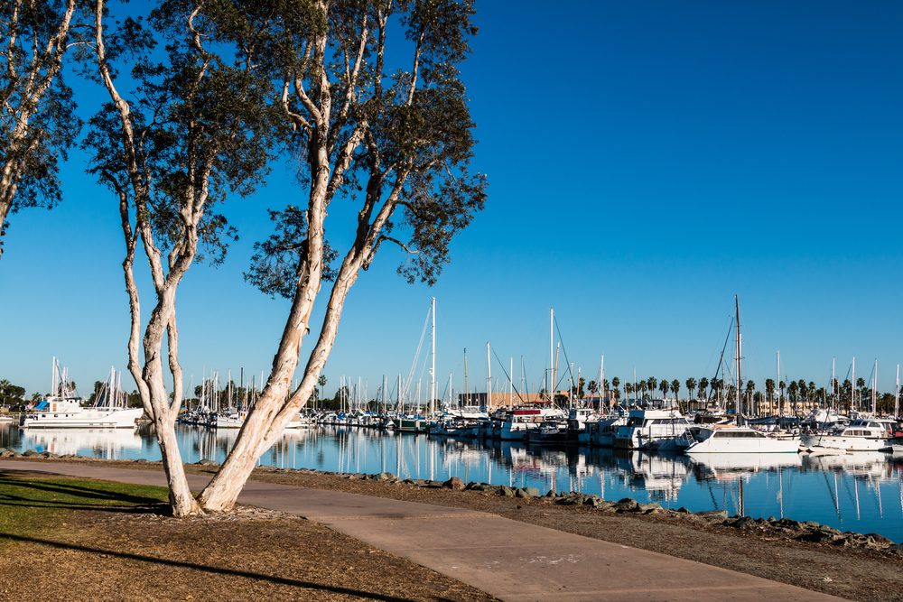 boats moored at a marina