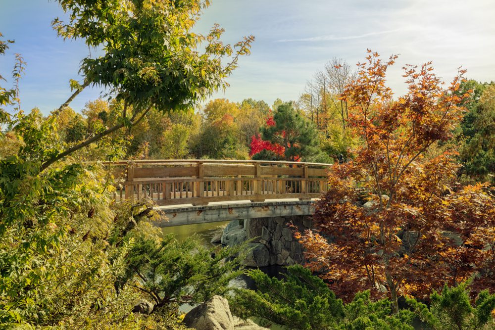 Japanese garden bridge in Grand Rapids