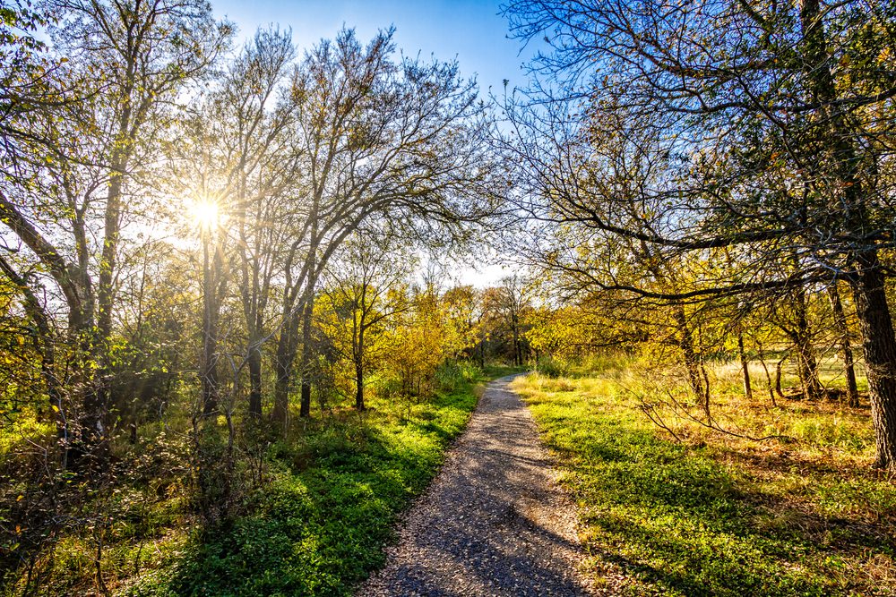 path in McKinney Falls State Park