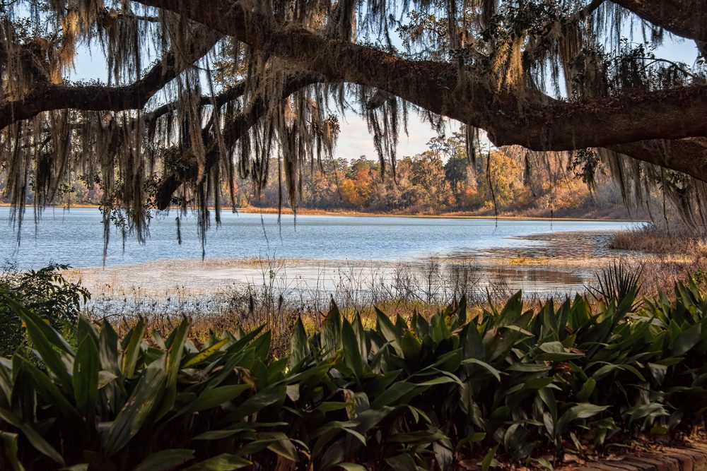 scenic view of Lake Overstreet