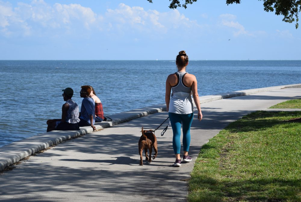 Woman with dog, Flora Wylie beach